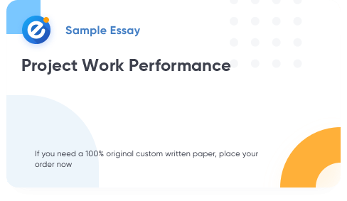 Free «Project Work Performance» Essay Sample